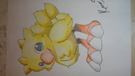 Chocobo