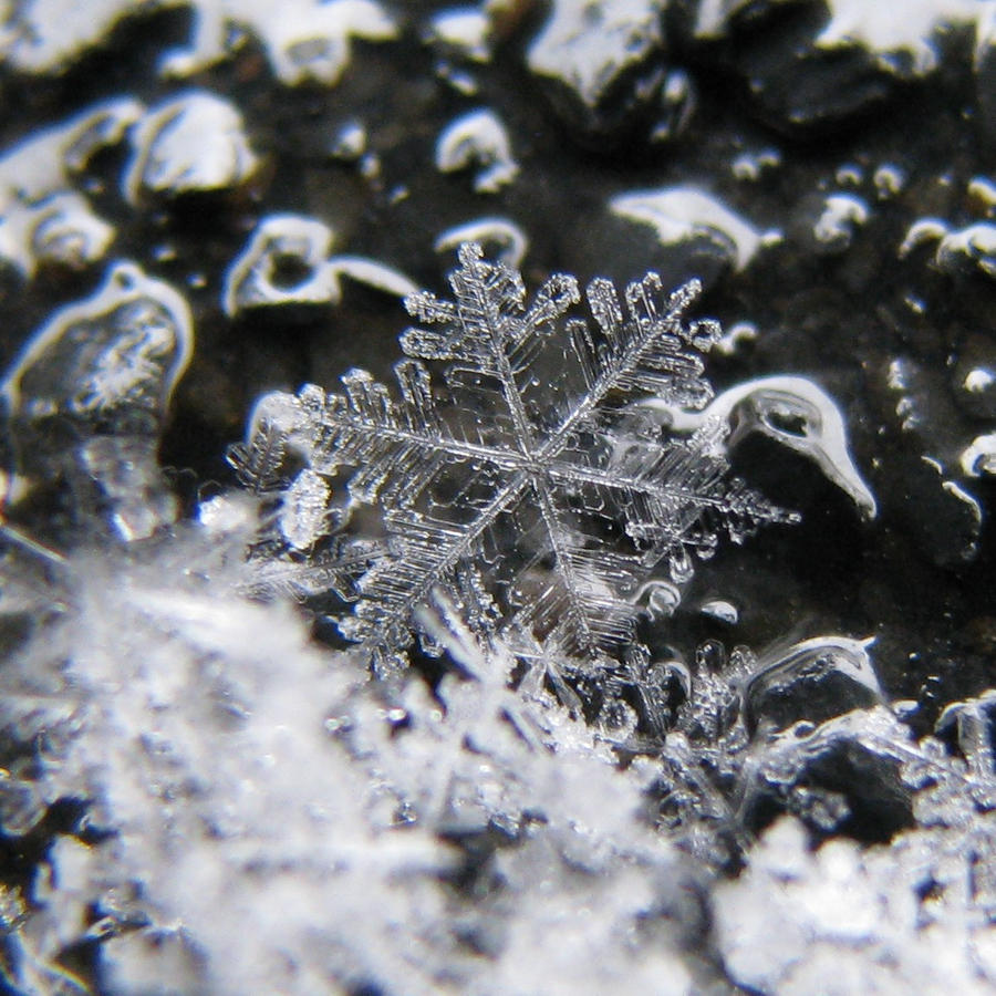 snowflake IV