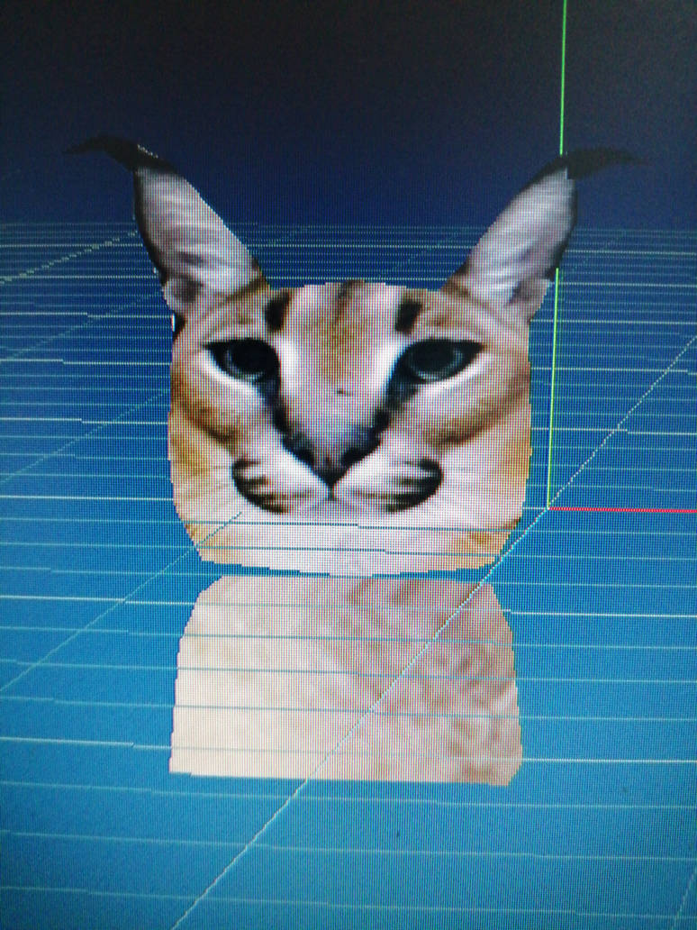 Floppa papercraft by Edurdoxdd on DeviantArt