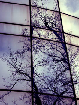 Tree Reflection