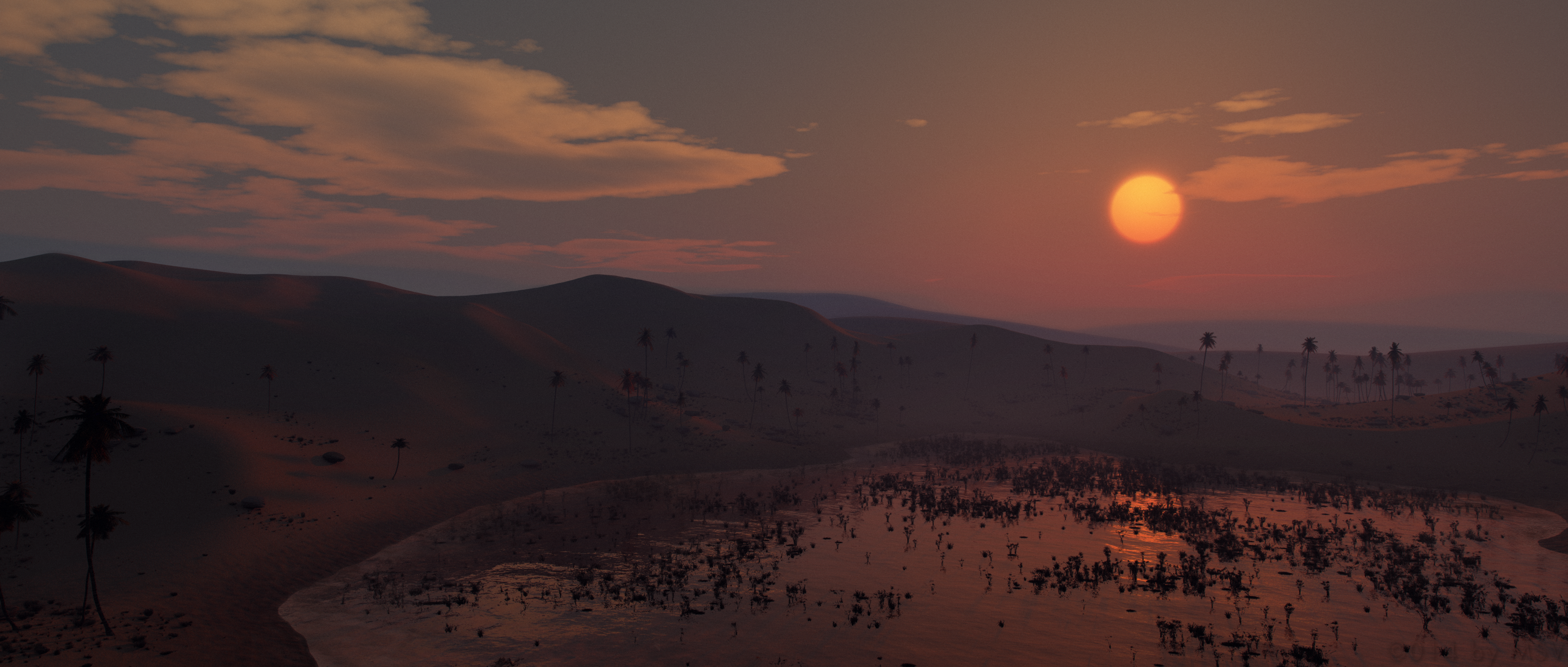 sunset above the oasis