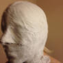 Finished face cast