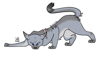 Bluestar