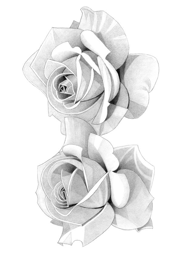 Roses Pencil Drawing by MatthewHackArt on DeviantArt