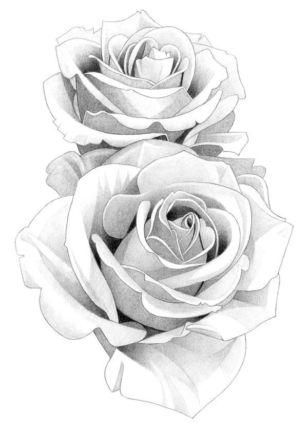 People Drawing Roses Roses Pencil Drawing by MatthewHackArt on DeviantArt