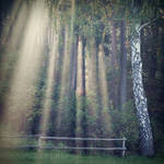 Angels fall now by liftangel
