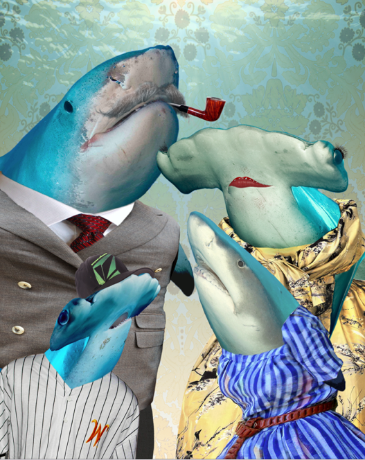 Photoshop project about sharks