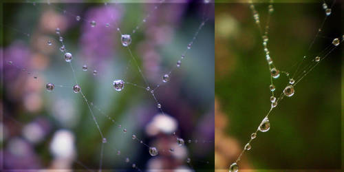 Drops