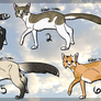 Feline Adoptables OPEN PRICES LOWERED