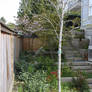 Stairs and fence and garden