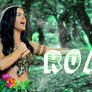 Katy Perry Roar [ edit ]