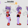 Shyna the Hedgehog Character Reference Sheet