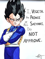 Vegeta, the Prince of All Saiyans