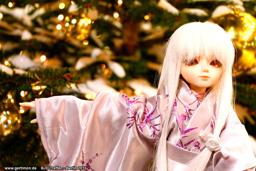 Christmas BJD