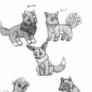 PKMN Canines