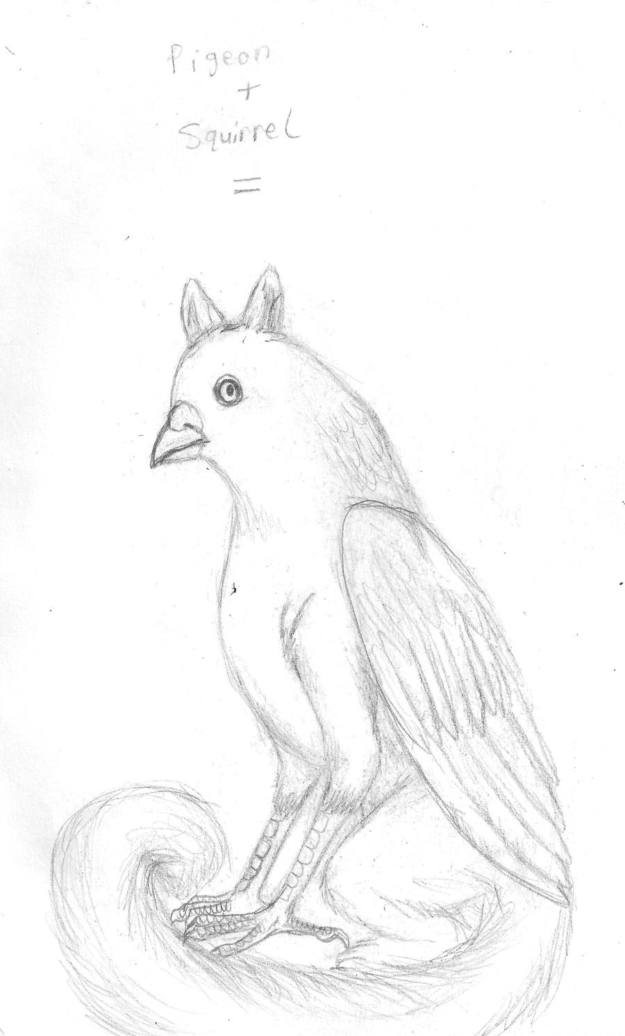 Pigeon Squirrel Gryphon