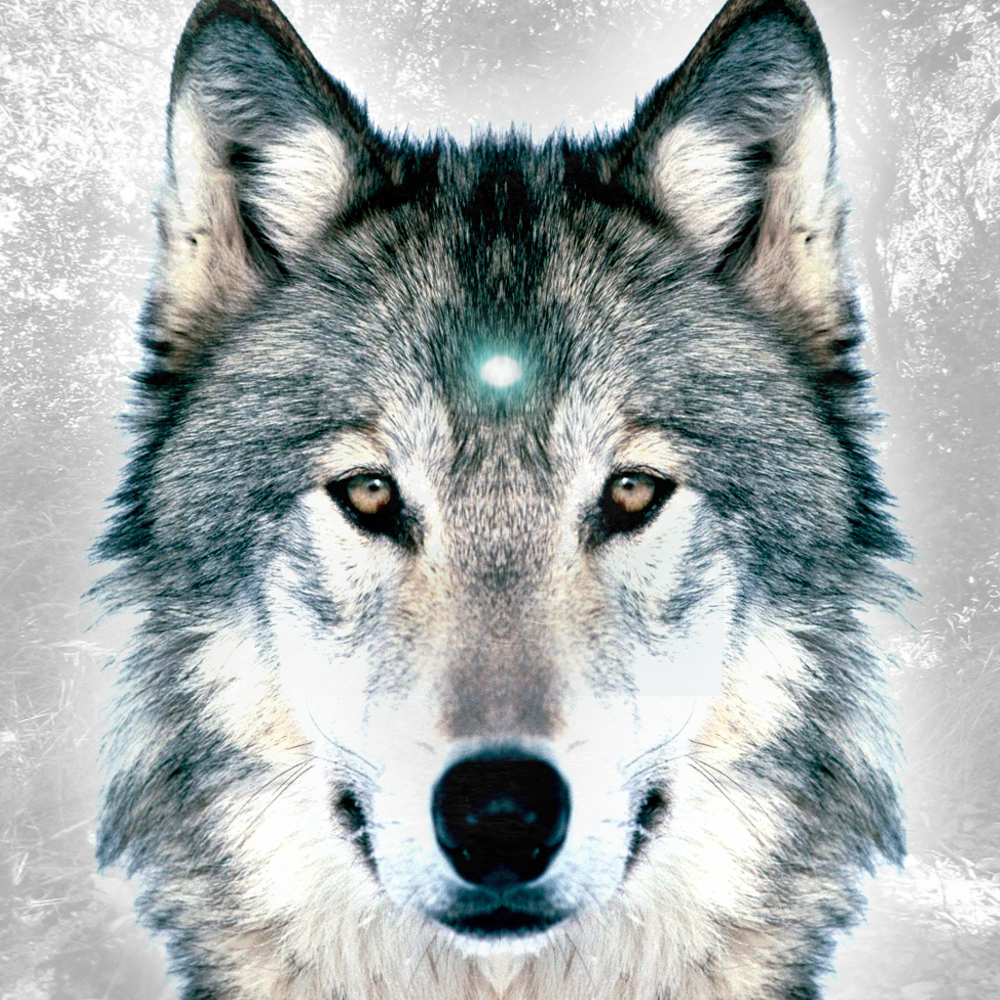 Wolf cover