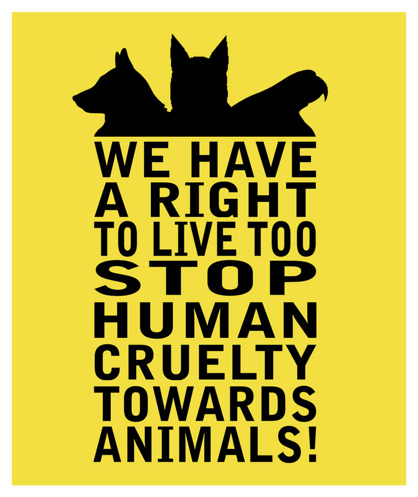 Stop Human Cruelty Against Animals! by Rotemavid on DeviantArt