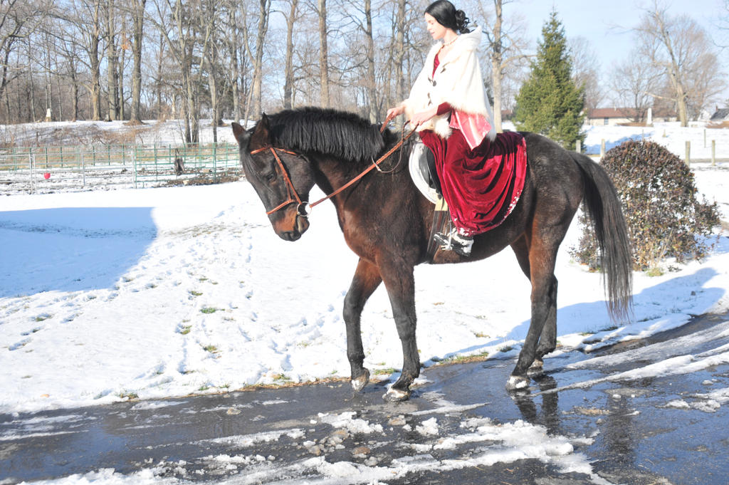Medieval Equestrian 184 by elusiveelegance on DeviantArt