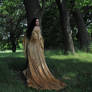 Gold Dress 042