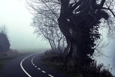 Misty Pathway