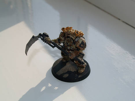 Typhus - Front