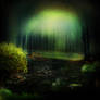 Forest Background 1