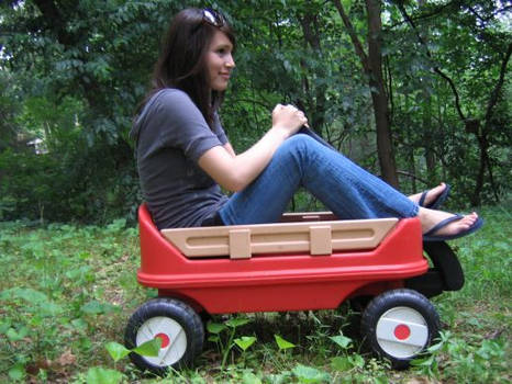 Little Red Wagon