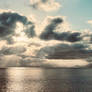 Between Storm and Light