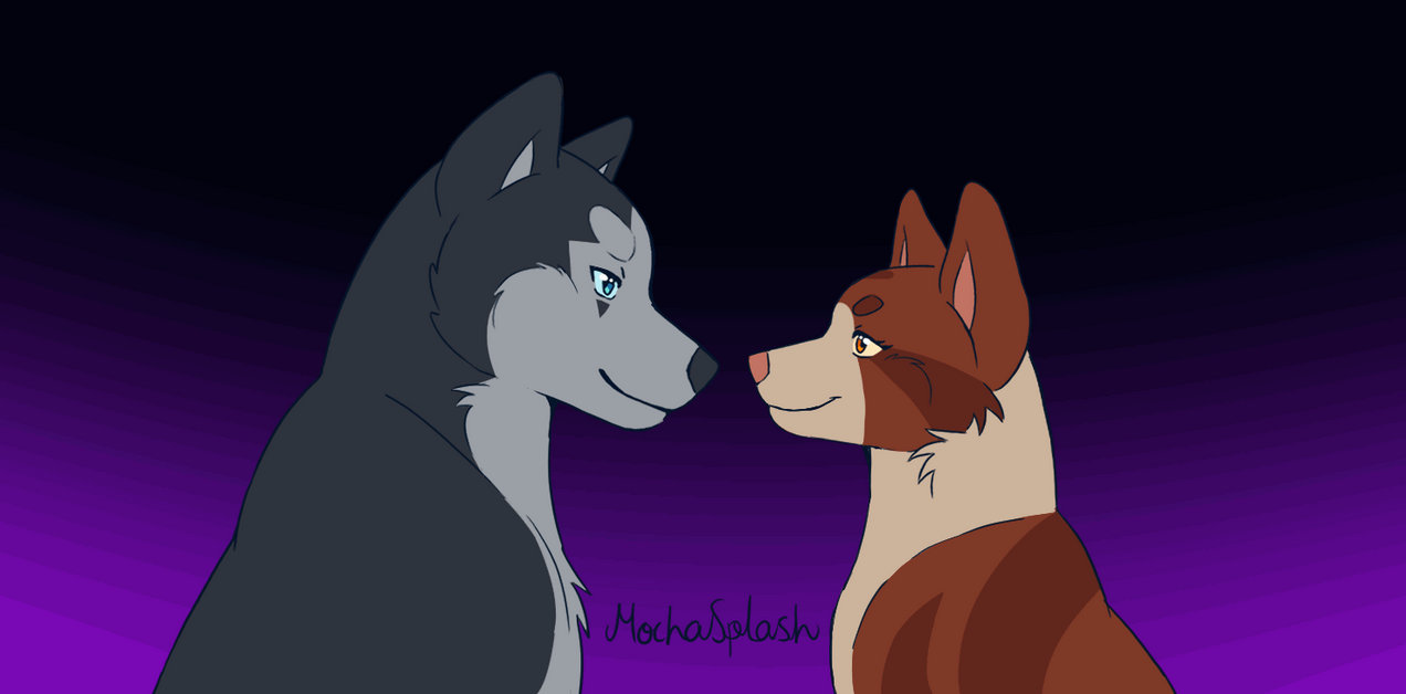 Matching PFP (Animation) by ChaseCool64 on DeviantArt