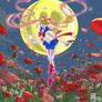 She is the one, Sailor Moon