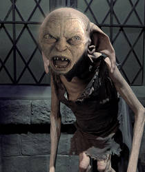 The Kreacher known as Smeagol