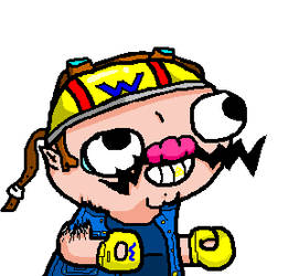 16.- FSJAL WARIO.