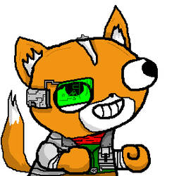 34.- FSJAL FOX MCLOUD.