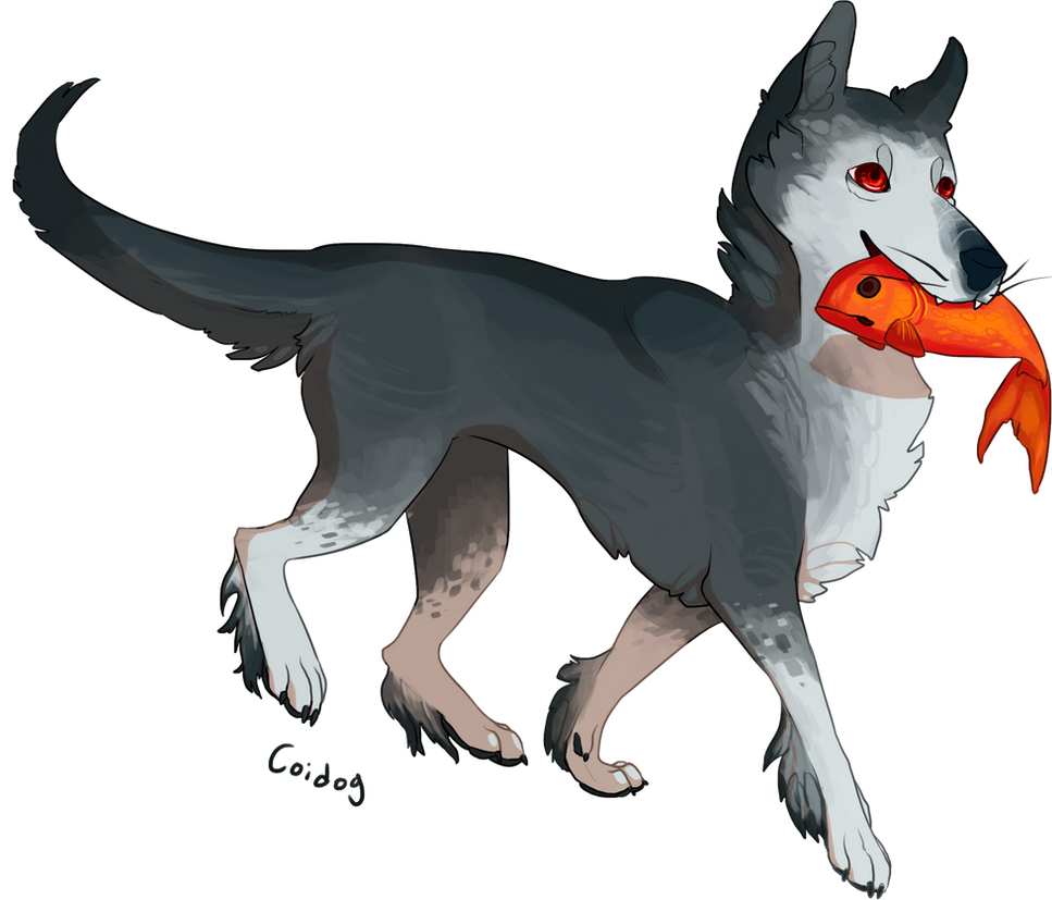 Fishdog Fishdog! by coidog on DeviantArt