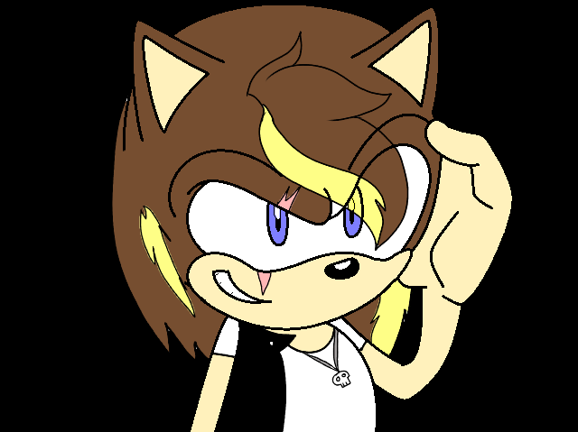 Myself in the SONIC THE HEDGEHOG UNIVERSE