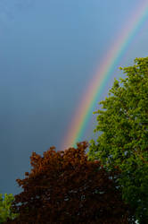 Rainbow Sleeves