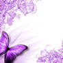 Purple Butterfly background