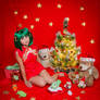 Merry Christmas::::::Ranka Lee