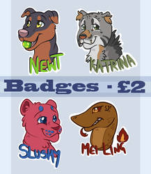Badge Commissions OPEN