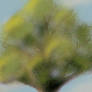 The Boredom Tree