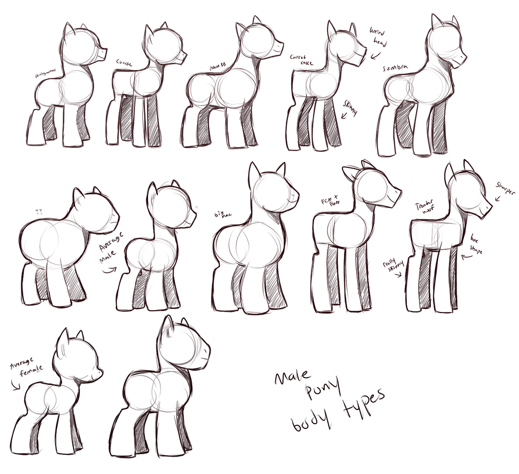 Just Drawing Bases For MLP Ponies By BlazingPhoenix17B On DeviantArt just-drawing-bases-for-mlp-ponies-by-blazingphoenix17b-on-deviantart