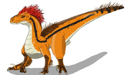 Dko Raptor Draco-raptor by SrDraco646 on DeviantArt