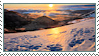 Winter Land Stamp