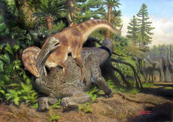 Allosaurus And Camarasaurus Juvenile