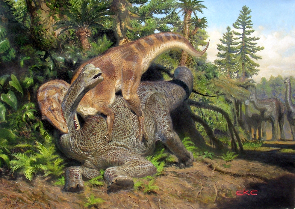 Allosaurus And Camarasaurus Juvenile