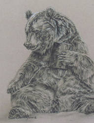 June 20 bear sketch