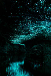 Glowworm Cave