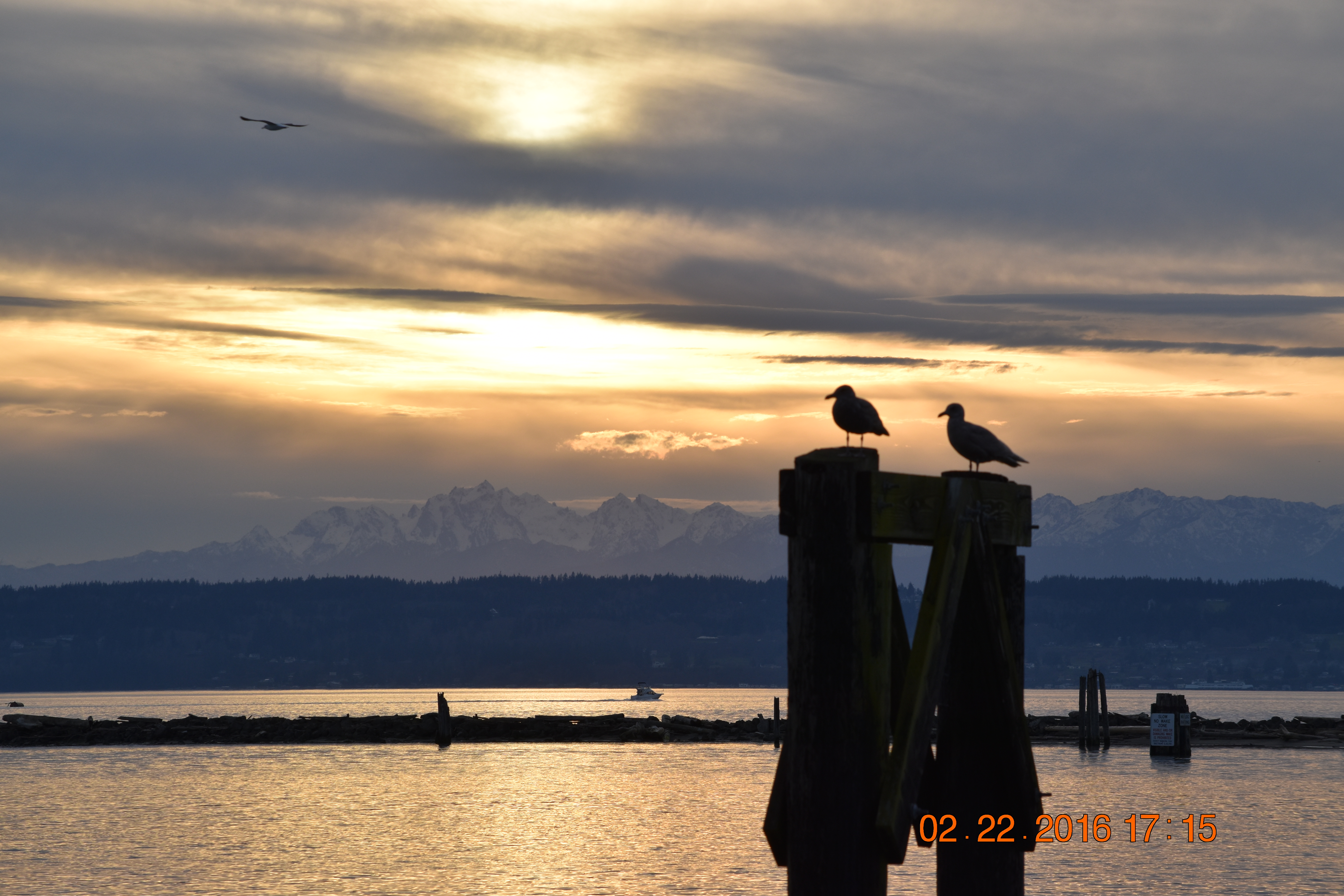 At the waterfront