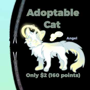 Open $2 / 160 points Cat Adoptable Cheap - Angel